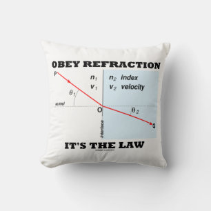 Obey Refraction Het is de Law Physics Geek Humor Kussen