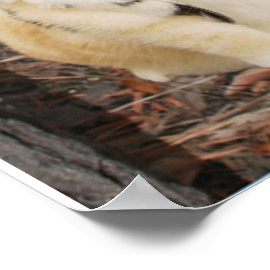 OBEY SCHOOL-REGELS. POSTER (Hoek)