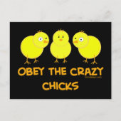 Obey The Crazy Chicks Briefkaart (Voorkant)