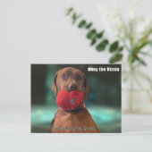 Obey the Vizsla Briefkaart (Staand voorkant)