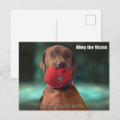 Obey the Vizsla Briefkaart (Voorkant / Achterkant)
