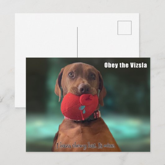 Obey the Vizsla Briefkaart (Voorkant / Achterkant)