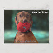 Obey the Vizsla Briefkaart (Voorkant)