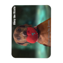 Obey the Vizsla Chewy Pet