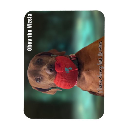 Obey the Vizsla Chewy Pet Magneet (Verticaal)