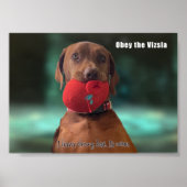 Obey the Vizsla Poster (Voorkant)