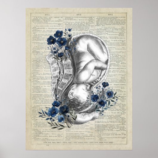 OBGYN Gift Anatomie van Baby in Womb w / Blauwe Bl Poster (Voorkant)