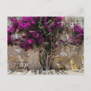 Obidos Kleuren Portugal Briefkaart