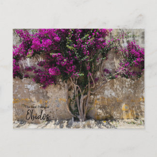 Obidos Kleuren Portugal Briefkaart