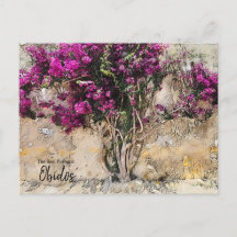 Obidos Kleuren Portugal