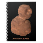 Object Arrokoth Kuiper Belt Notitieboek (Voorkant)