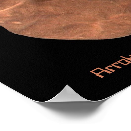 Object Arrokoth Kuiper Belt Poster (Hoek)