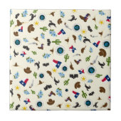 Objecten die bekend staan als Texas Tegeltje (Voorkant)