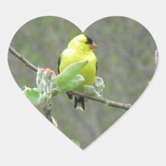 Objecten met zomerzangvogels hart sticker