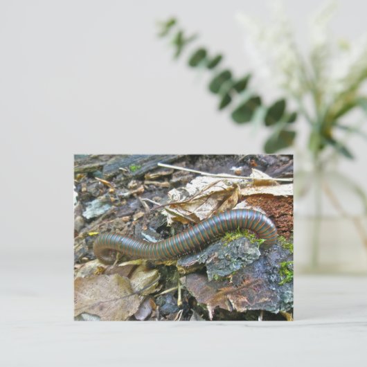 Objecten uit de Millipede-reeks Briefkaart (Staand voorkant)