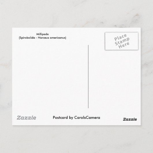 Objecten uit de Millipede-reeks Briefkaart (Achterkant)