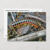 Objecten uit de Millipede-reeks Briefkaart (Voorkant / Achterkant)