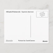 Objecten uit de Millipede-reeks Briefkaart (Achterkant)