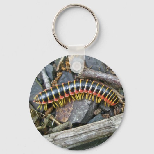 Objecten uit de Millipede-reeks Sleutelhanger (Voorkant)