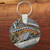 Objecten uit de Millipede-reeks Sleutelhanger (Voorkant)