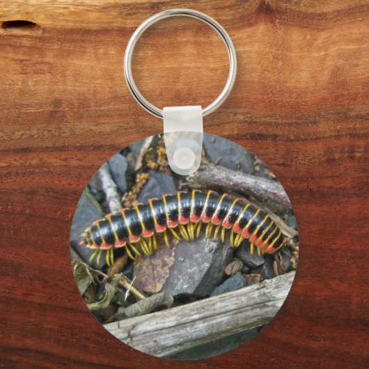 Objecten uit de Millipede-reeks Sleutelhanger (Voorkant)