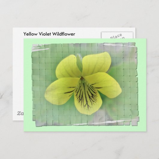 Objecten voor het coördineren van niet-gele object briefkaart (Voorkant / Achterkant)