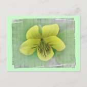 Objecten voor het coördineren van niet-gele object briefkaart (Voorkant)