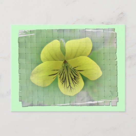 Objecten voor het coördineren van niet-gele object briefkaart (Voorkant)