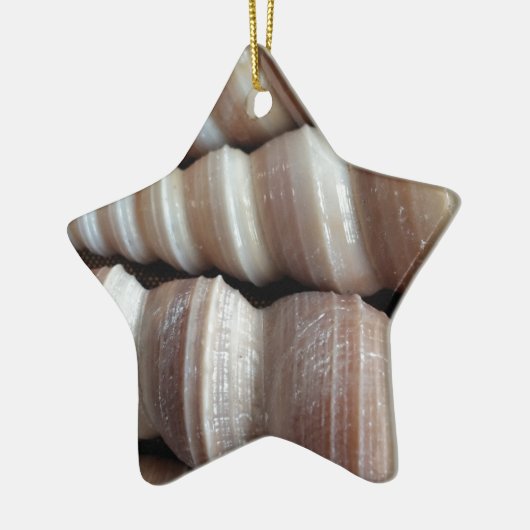 Oblong Summer Seashells, Summer Season Keramisch Ornament (Links)