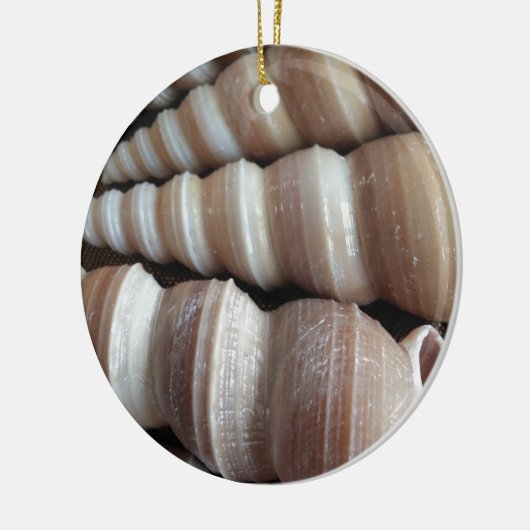 Oblong Summer Seashells, Summer Season Keramisch Ornament (Links)