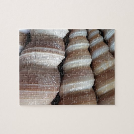 Oblong Summer Seashells, Summer Season Legpuzzel (Horizontaal)