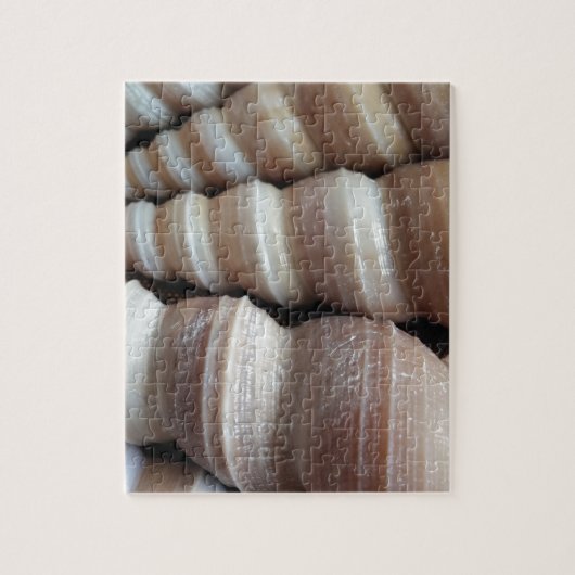 Oblong Summer Seashells, Summer Season Legpuzzel (Verticaal)