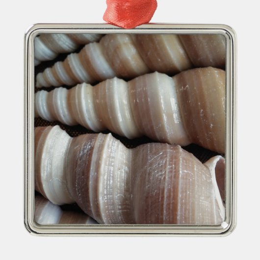 Oblong Summer Seashells, Summer Season Metalen Ornament (Voorkant)