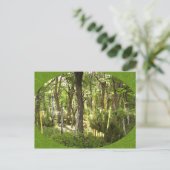 Oboe Forest Briefkaart (Staand voorkant)