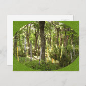 Oboe Forest Briefkaart (Voorkant / Achterkant)