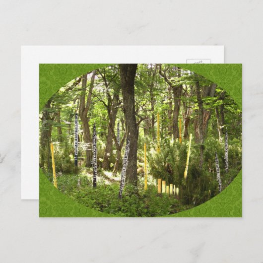 Oboe Forest Briefkaart (Voorkant / Achterkant)