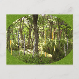 Oboe Forest Briefkaart