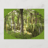 Oboe Forest Briefkaart (Voorkant)