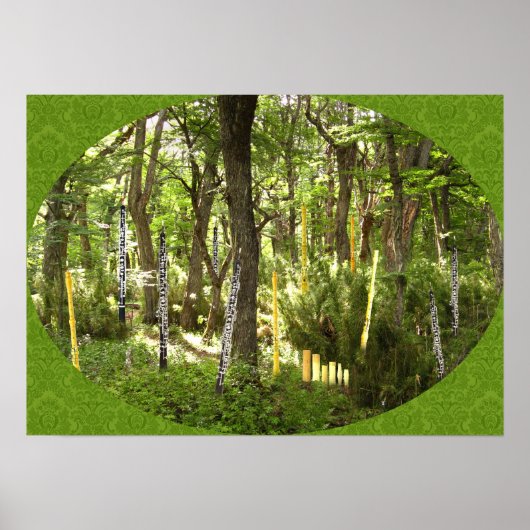 Oboe Forest Poster (Voorkant)