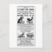 O'Brian's Six Shows Circus Advertisement Briefkaart (Voorkant)