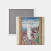 obritie tegen goerosie magneet (Voorkant / Achterkant)