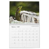 Obscure Anoles 2016 - An Anole Annals Production Kalender (Feb 2027)