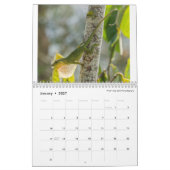 Obscure Anoles 2016 - An Anole Annals Production Kalender (Jan 2027)