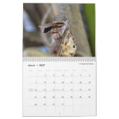 Obscure Anoles 2016 - An Anole Annals Production Kalender (Mar 2027)