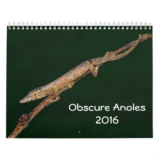 Obscure Anoles 2016 - An Anole Annals Production Kalender (Hoes)