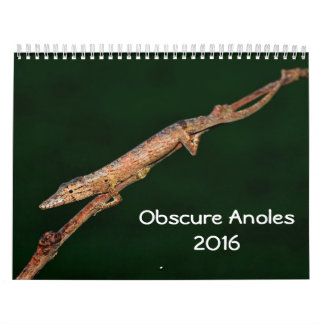 Obscure Anoles 2016 - An Anole Annals Production Kalender