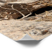 Observatiepunt Poster (Hoek)