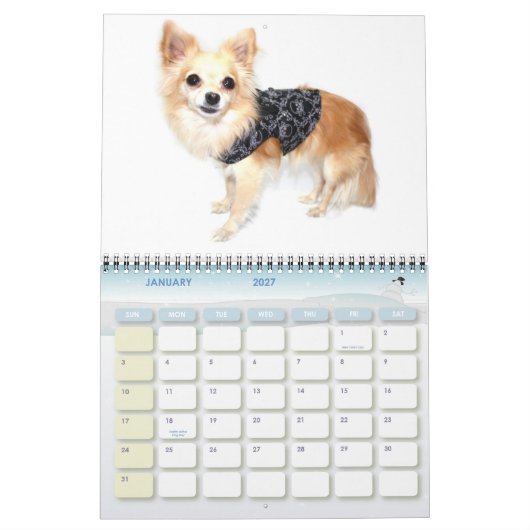 Obsessieve Chihuahua Disorder 2011 Calendar Kalender (Jan 2027)