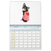 Obsessieve Chihuahua Disorder 2011 Calendar Kalender (Feb 2027)