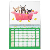 Obsessieve Chihuahua Disorder 2011 Calendar Kalender (Mar 2026)